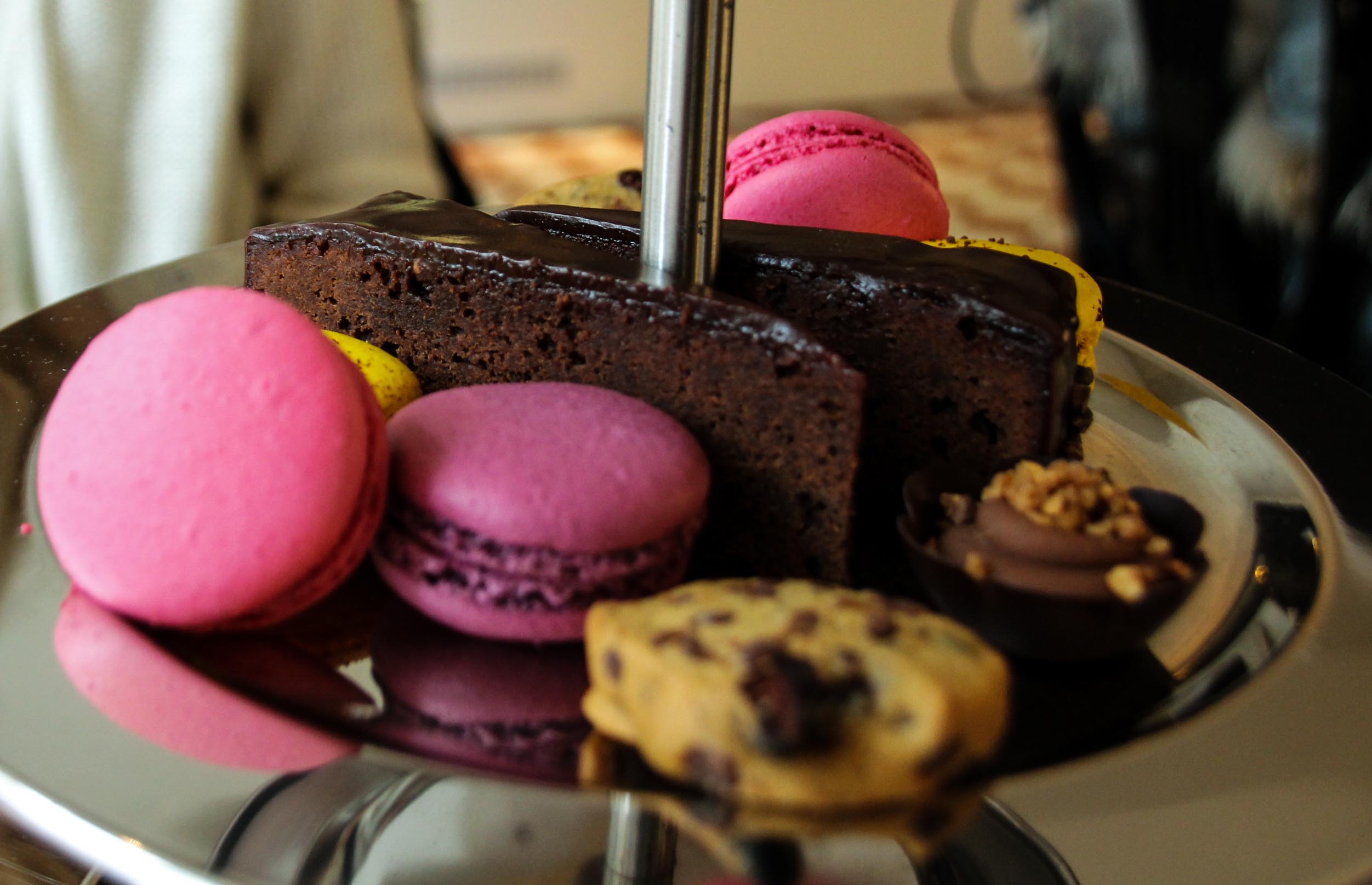 chjokohightea-3