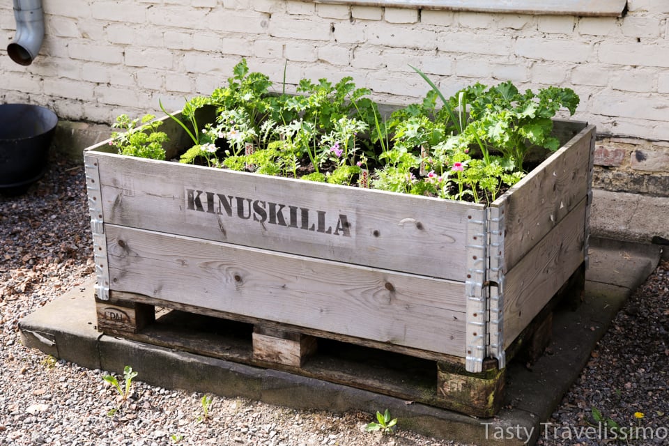 kinuskillanbrunssi-12