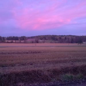 lenkkimaisema